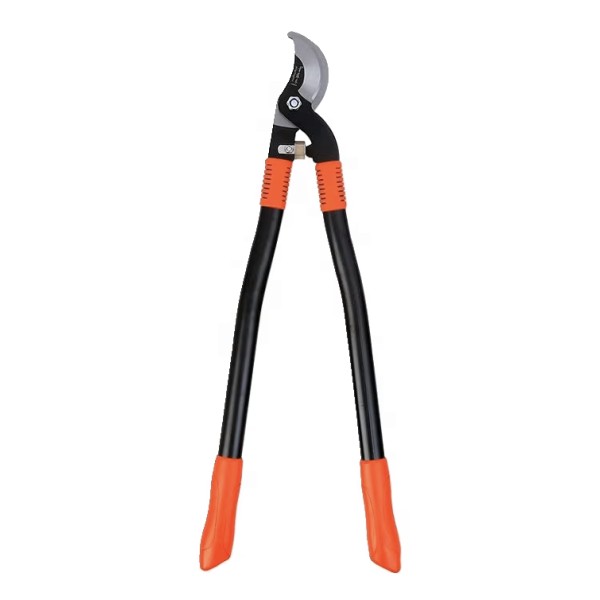 Powerful, Effort-saving, Long-Handle Garden Lopper...
