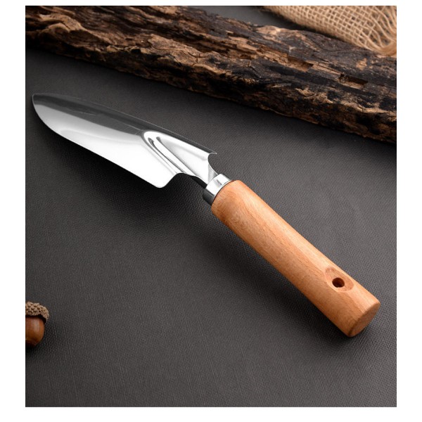 Stainless Steel Garden Hand Trowel (for Succulent ...