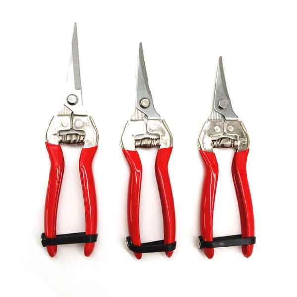 Durable, Multi-functional Stainless Steel Grape Pr...