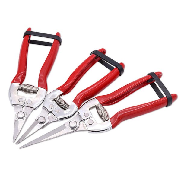 Durable, Multi-functional Stainless Steel Grape Pruning Shears