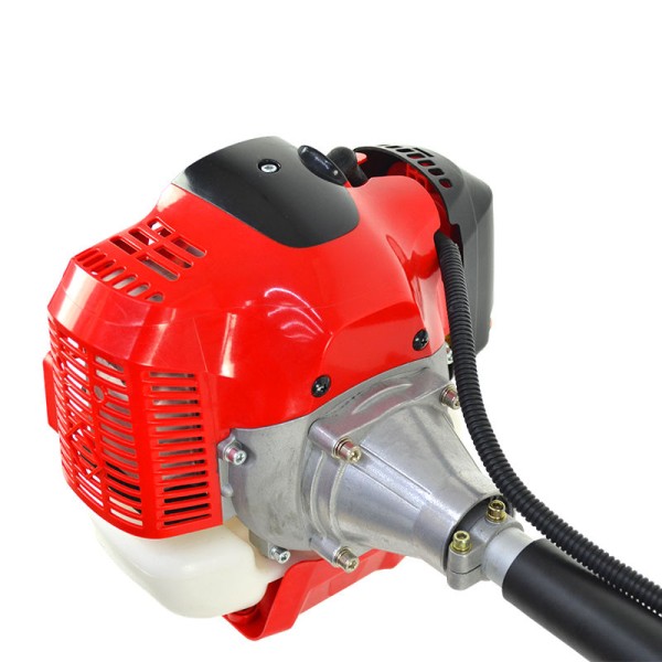 Powerful, Large-Displacement, Multi-purpose Lawn Mower