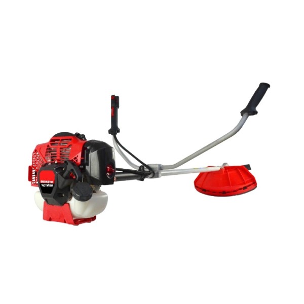 Powerful, Large-Displacement, Multi-purpose Lawn Mower