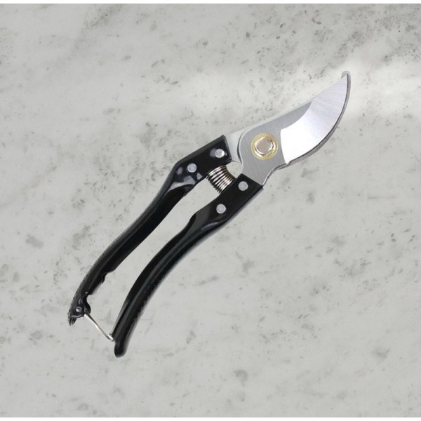 Sharp, Durable Carbon Steel Garden Pruning Shears
