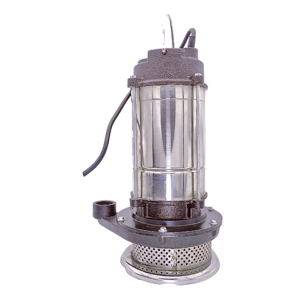 Stainless Steel Irrigation Water Pump for Home Gar...