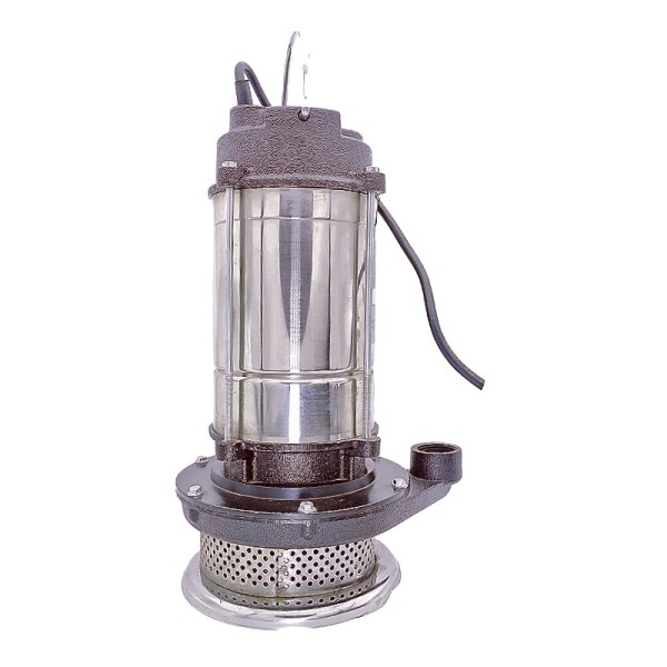Stainless Steel Irrigation Water Pump for Home Gardens