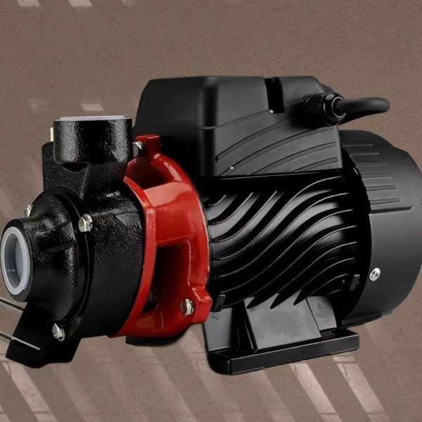 High-Efficiency Electric Water Pump for Pressurize...